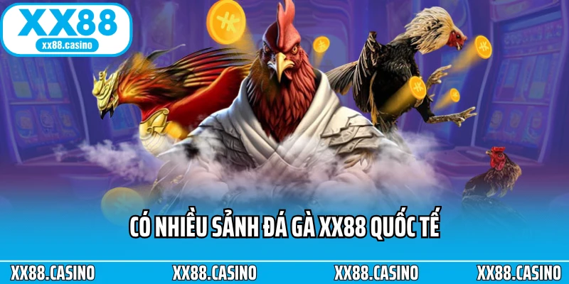 Có nhiều sảnh đá gà XX88 quốc tế
