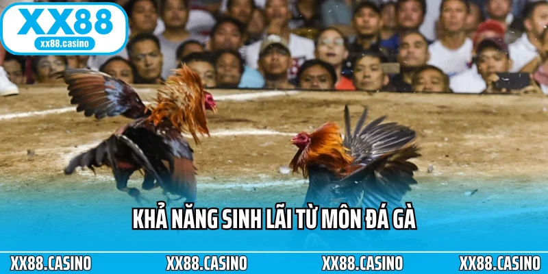 Khả năng sinh lãi từ môn đá gà
