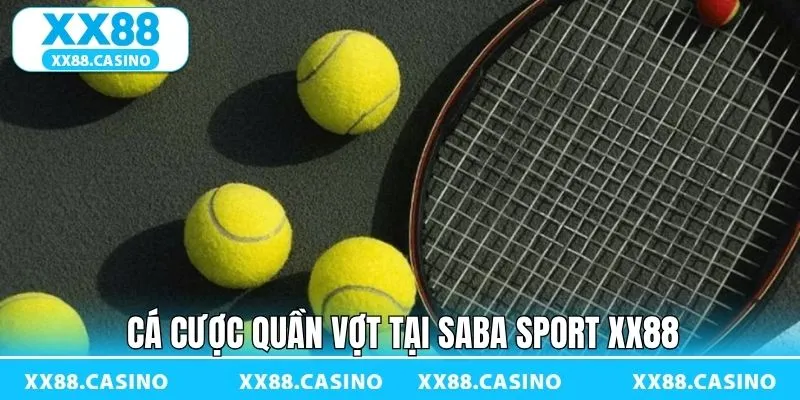 Cá cược quần vợt hấp dẫn Cá cược quần vợt hấp dẫn