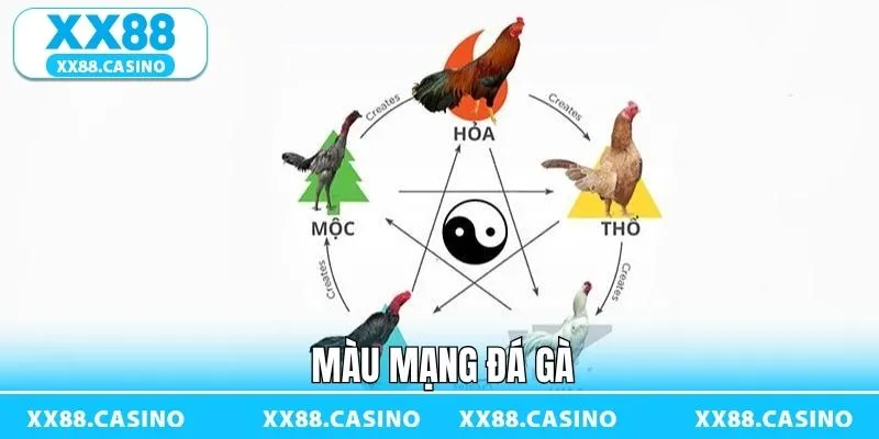 Ảnh đại diện Màu Mạng Đá Gà