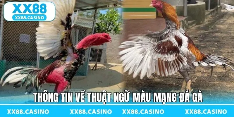 Giải thích về thuật ngữ màu mạng đá gà